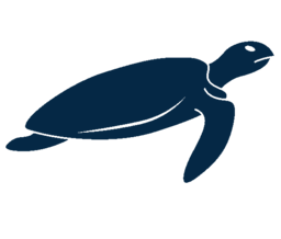 CSB