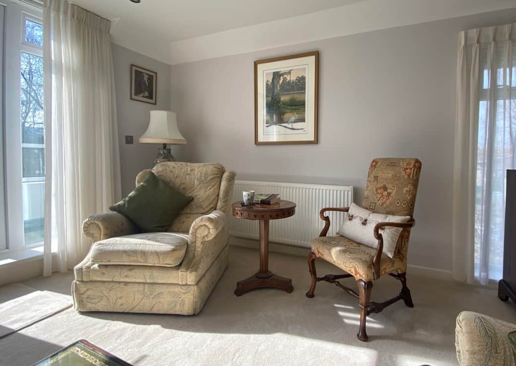 Living Room Arm Chair