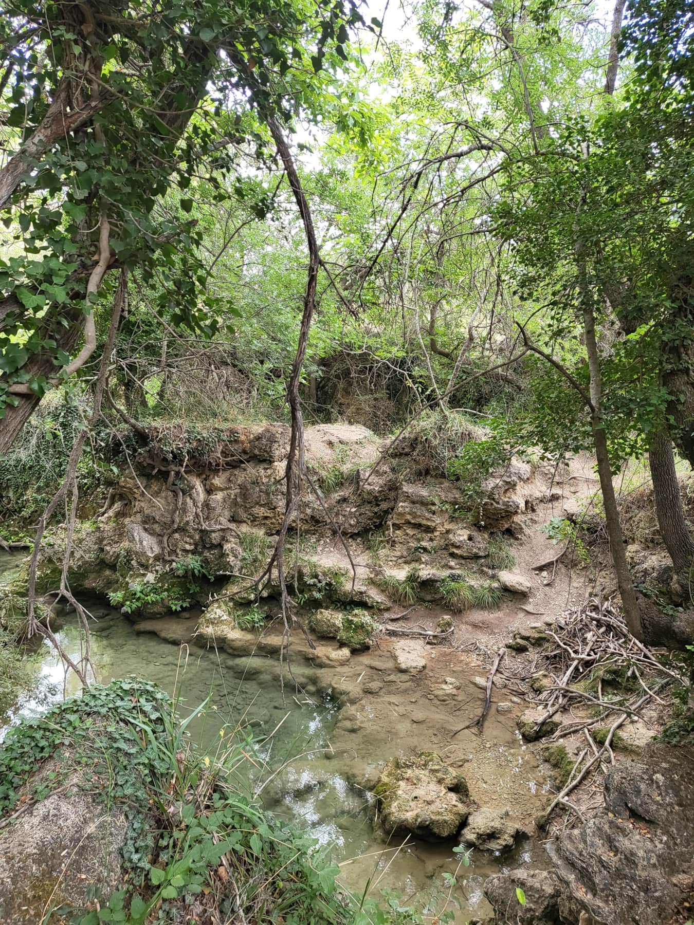 20250807_173856.jpg
