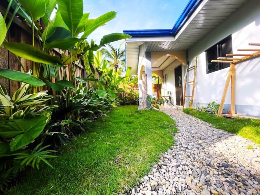 Garden view