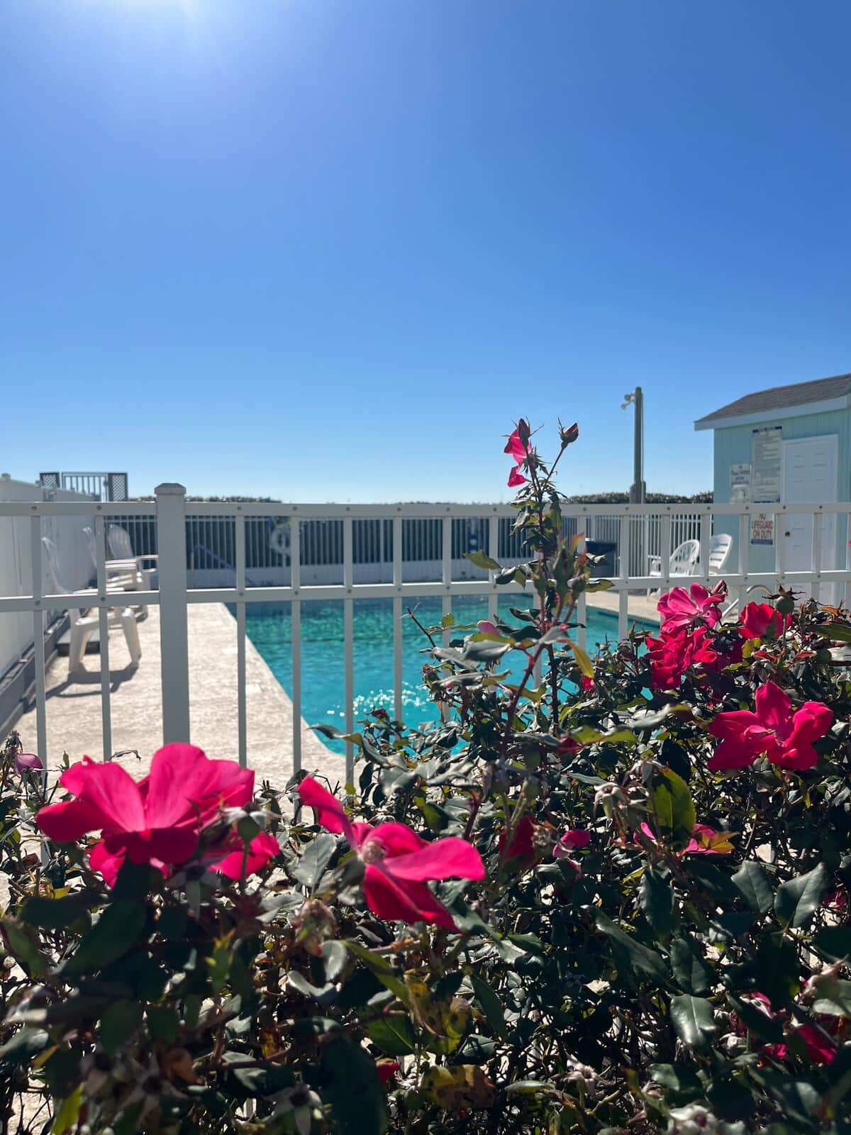 Pool by the ocean