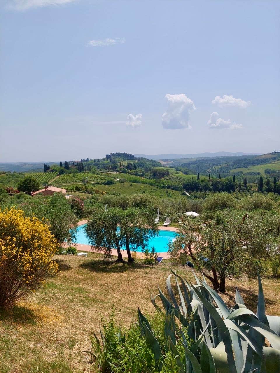 Vista della piscina