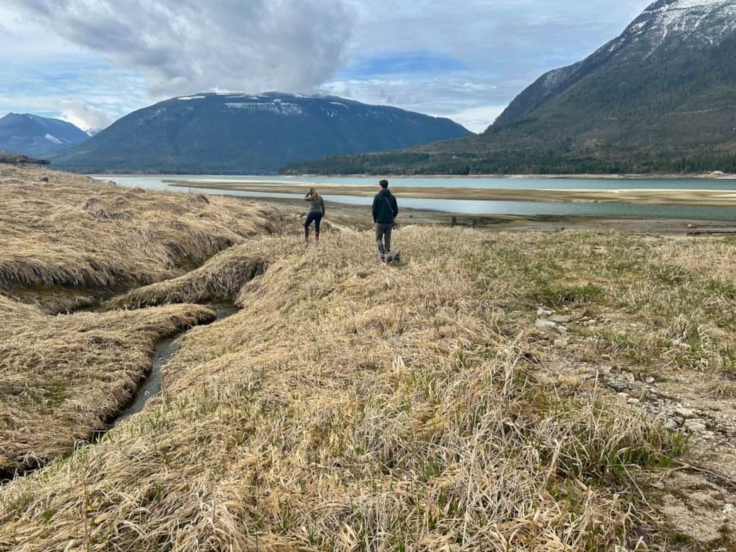 You and your furry friends can walk the beach for miles 