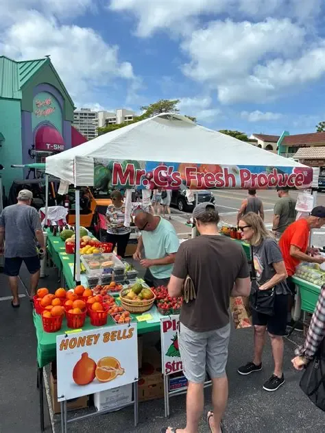 Siesta Key Sunday Market