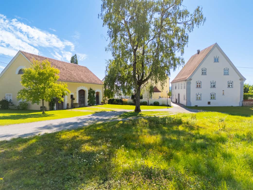 DJI 20250808093447 0064 D HDR
