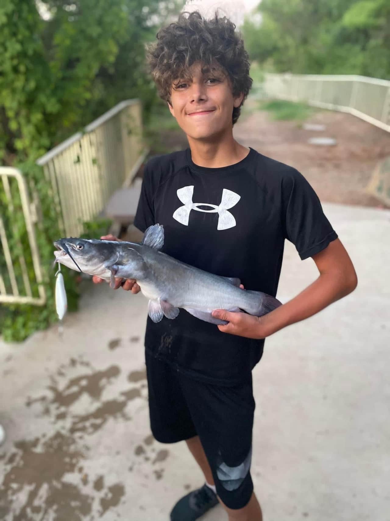 Lake Godstone Catfish