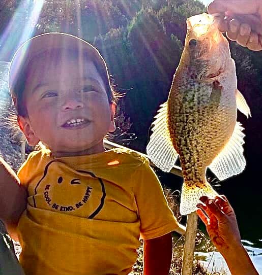 Lake Godstone Crappie