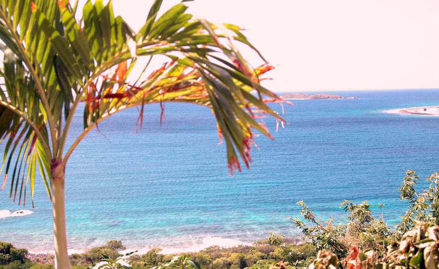 Gardens and Sea everywhere on your way down!