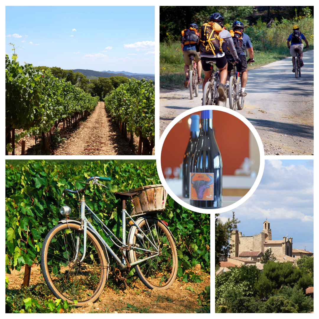 Fietstochten Fietstochten