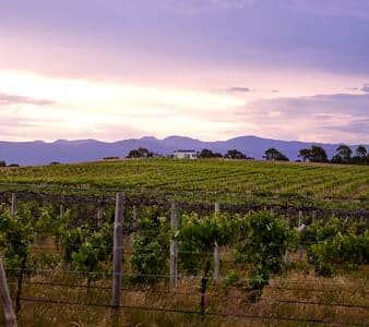 Hounds Run Vineyard Tiny House at Sunset, the Grampians behind image credit: Visit Victoria