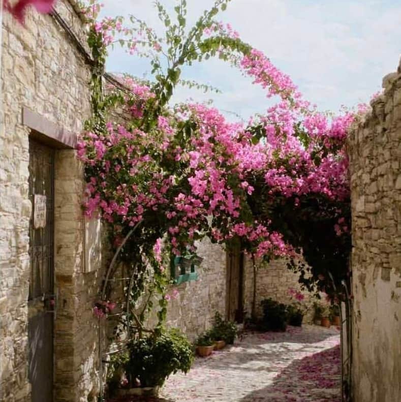 Street in Lefkara village