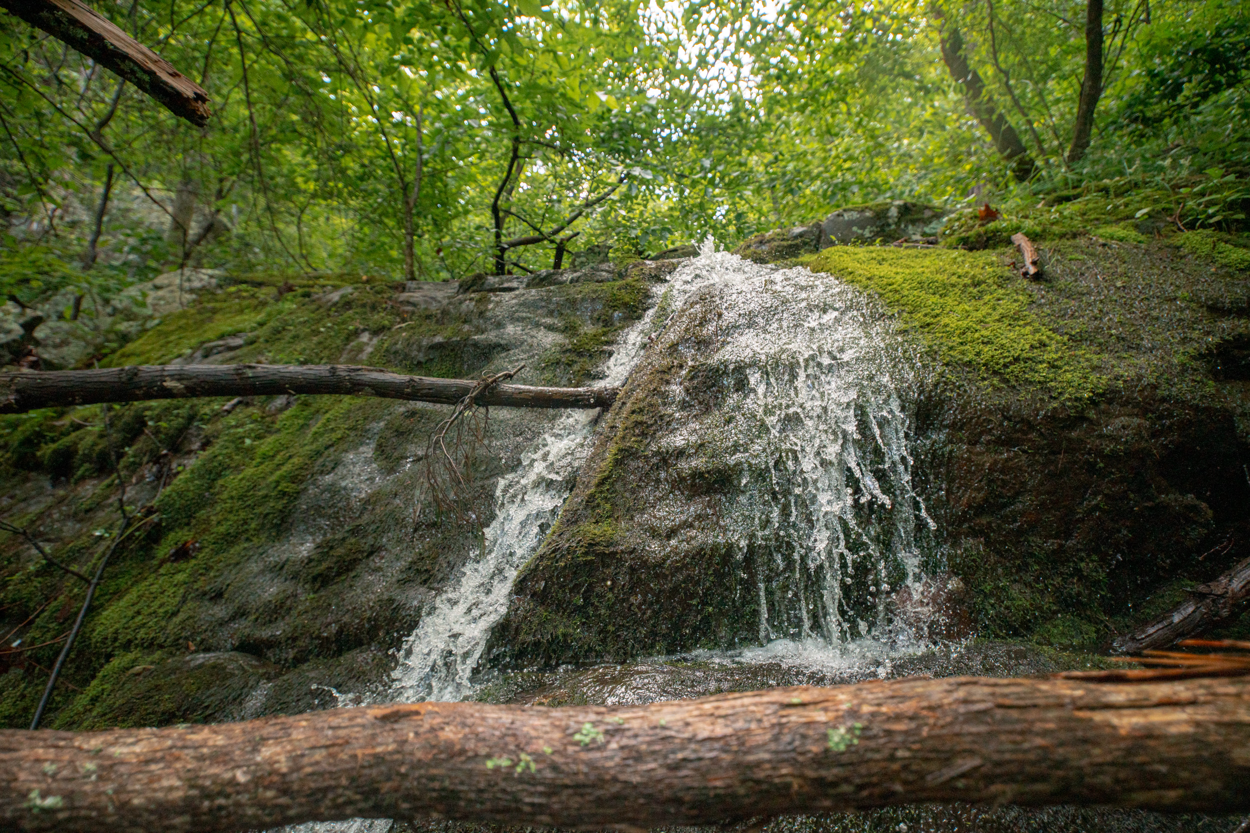 Waterfall is walking distance away