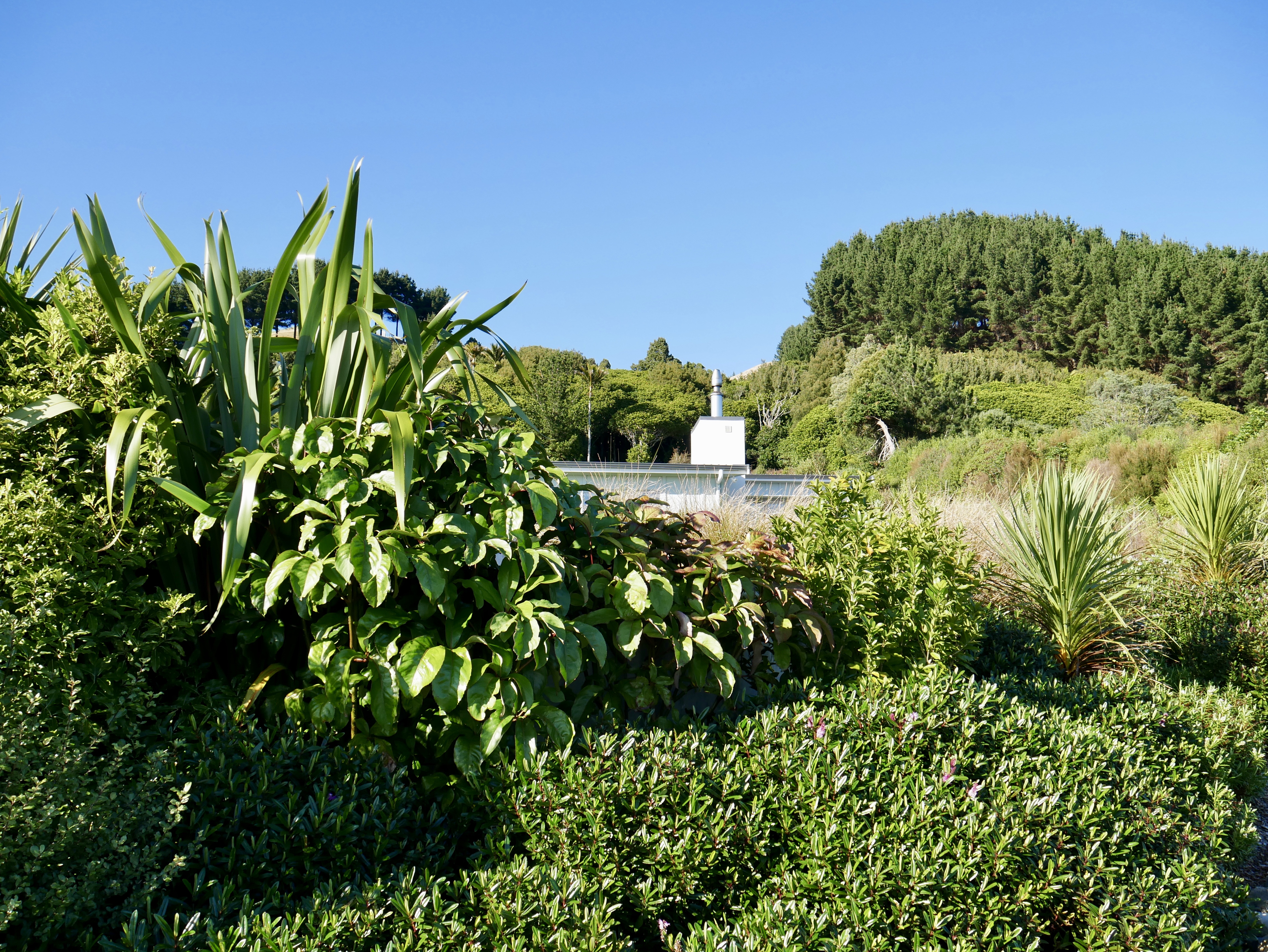 Private Location - more native tree plantings