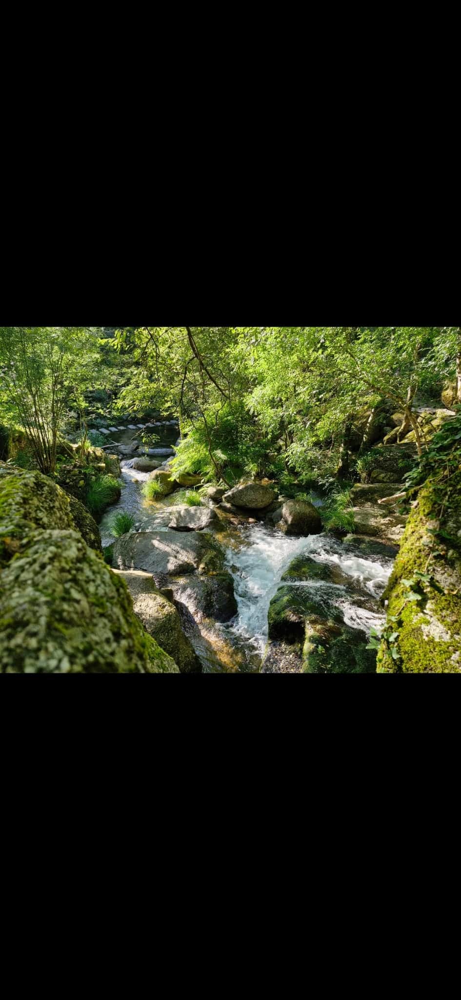 Waterfalls just 1km walk