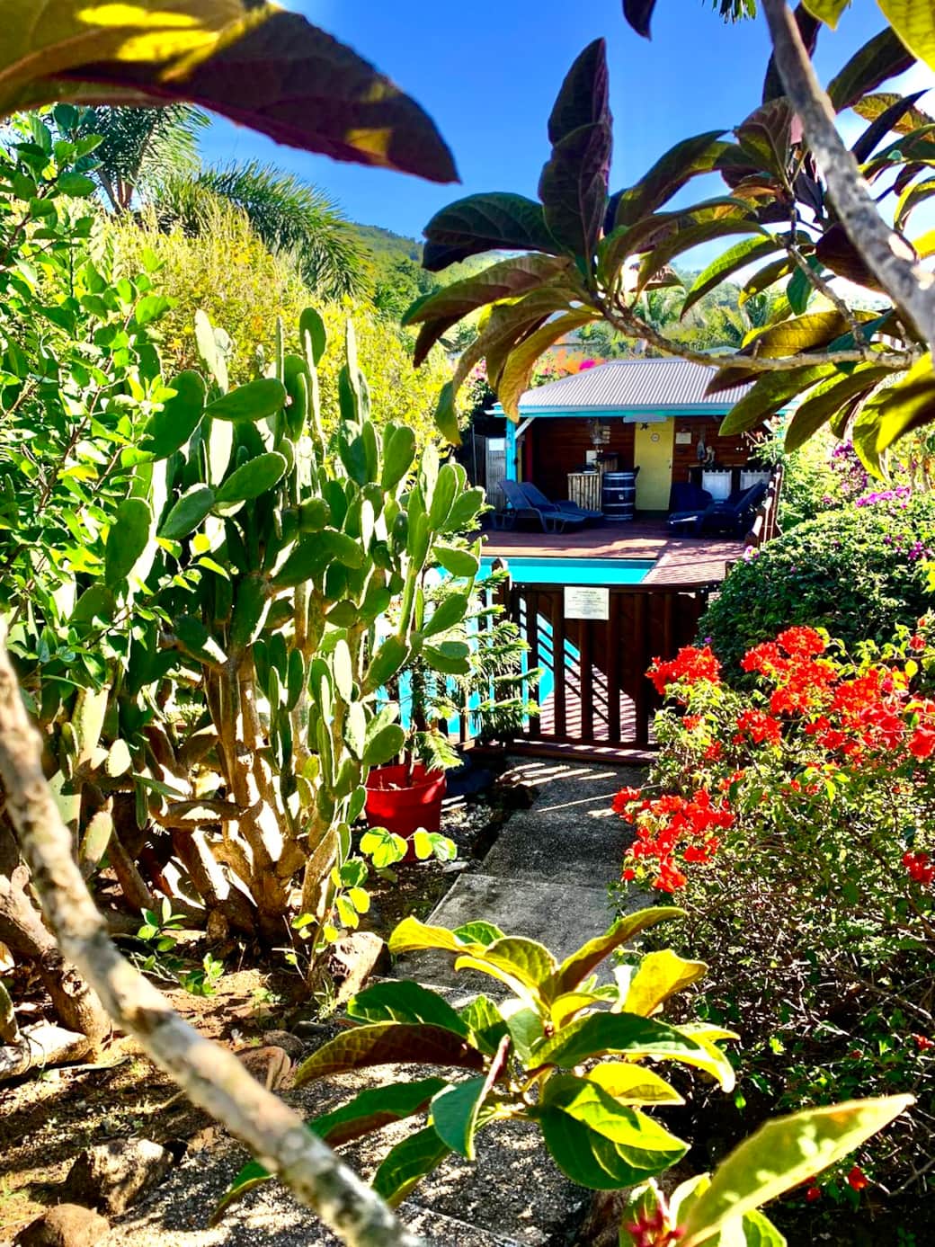 L'accès à la piscine par le jardin L'accès à la piscine par le jardin