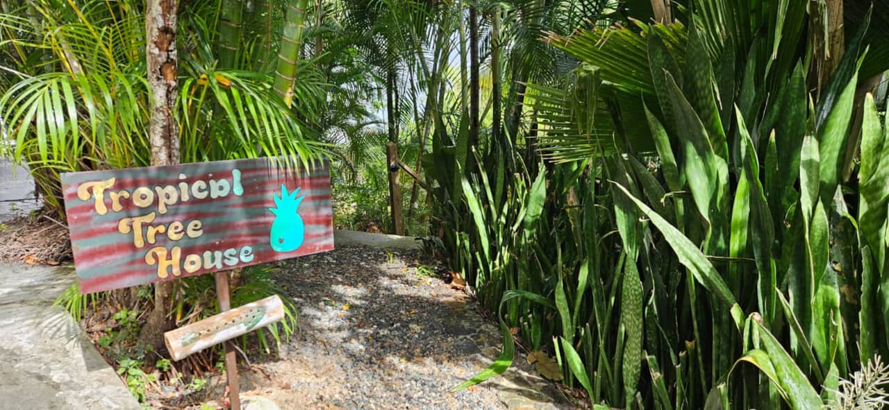 Entrance to the stairs