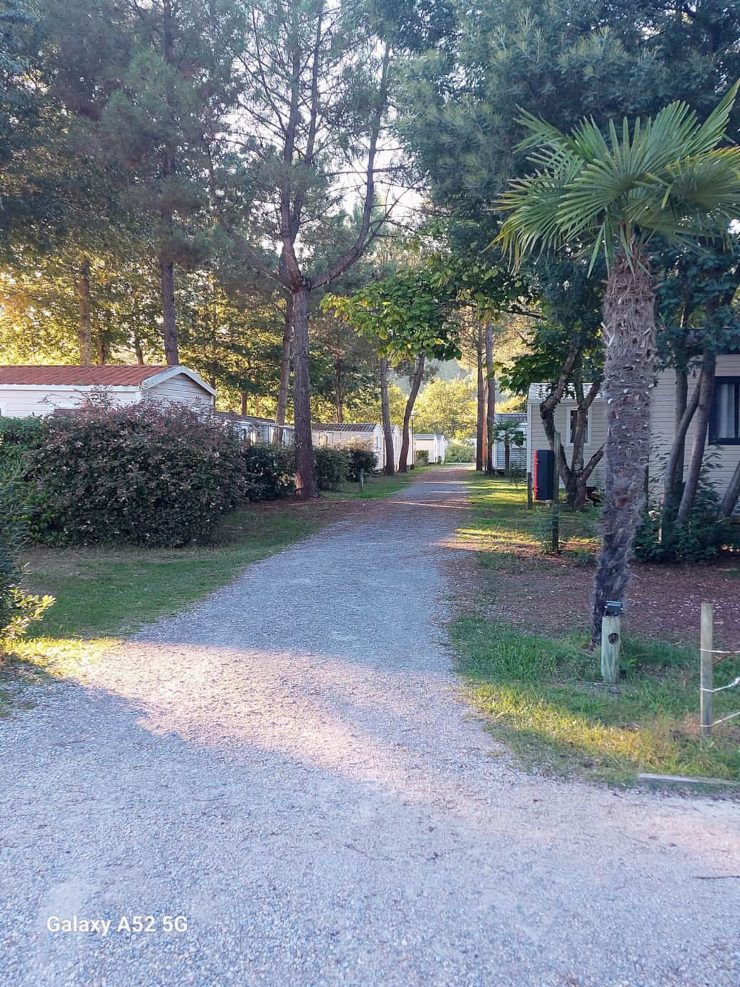 Allée camping