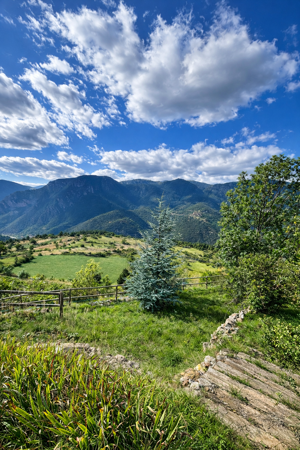 35f4a359 08ea 4180 9081 3f976d01fb99