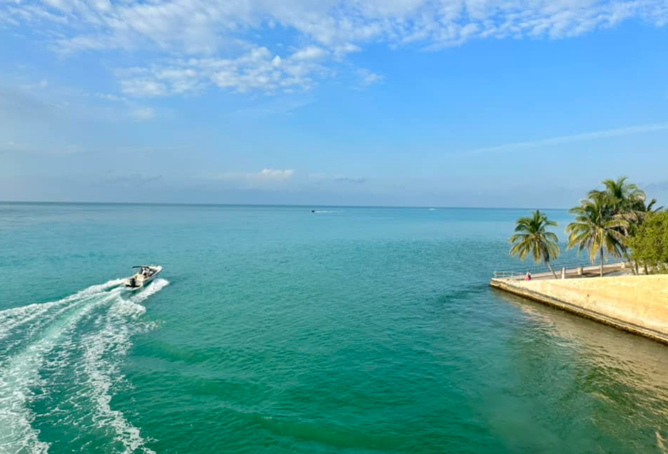 In Minutes to Crystal Waters