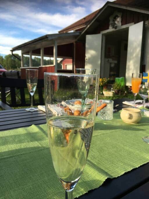 Summer in the garden. Summer in the garden.