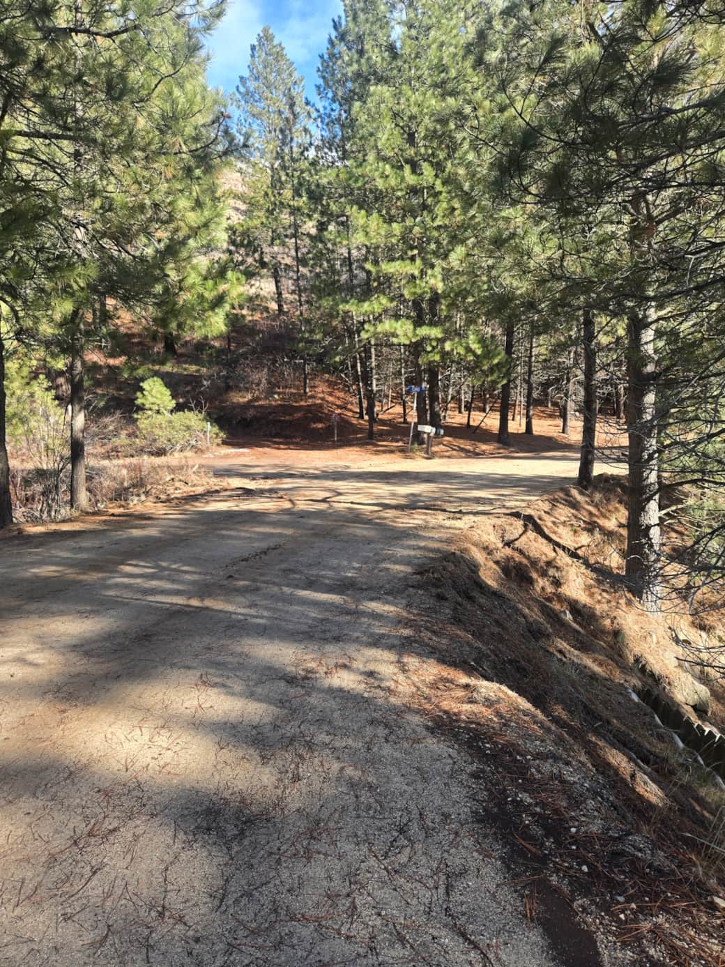 Road to Upper coho Road to Upper coho