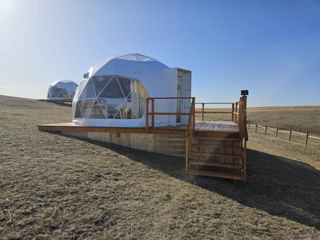 Dome spring Dome spring
