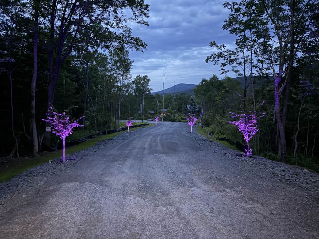 Scenic Driveway Scenic Driveway