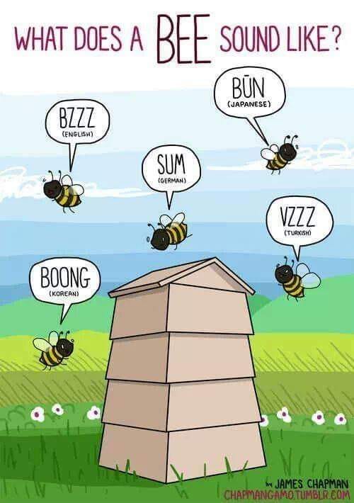 bee buzz in International languages