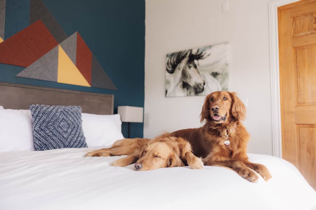 We cater to dog lovers!