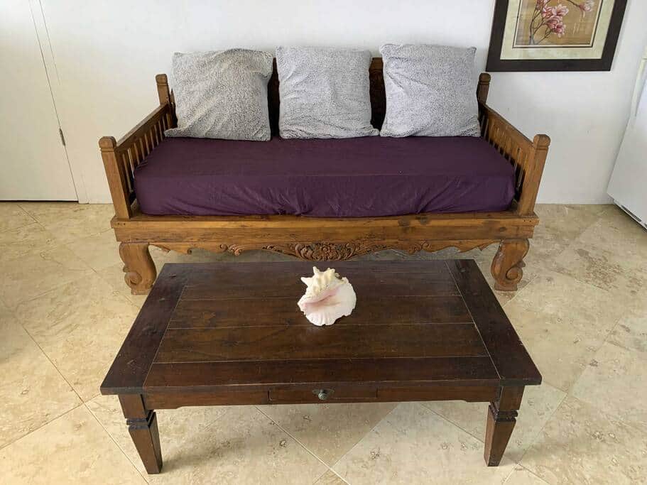 Twin daybed in living room