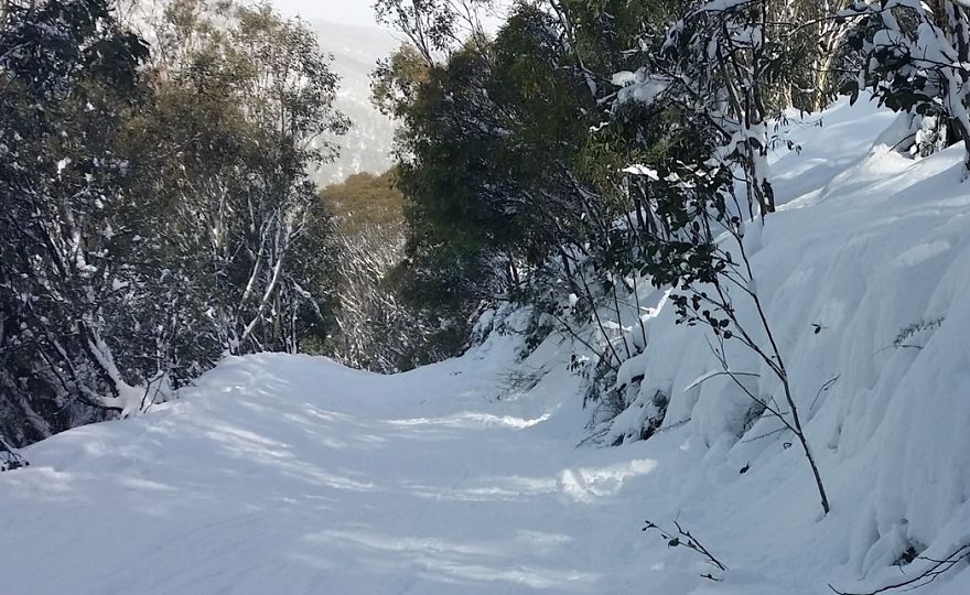 Last minute Ski Accommodation Perisher
