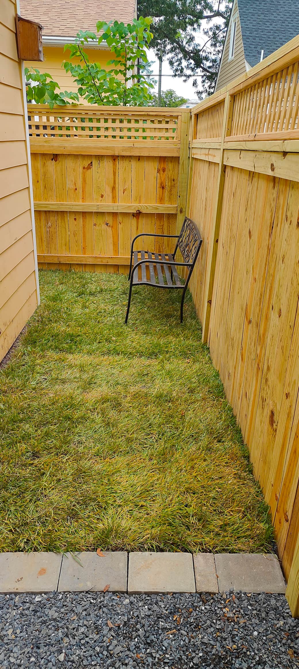 Dog Run / Yard
