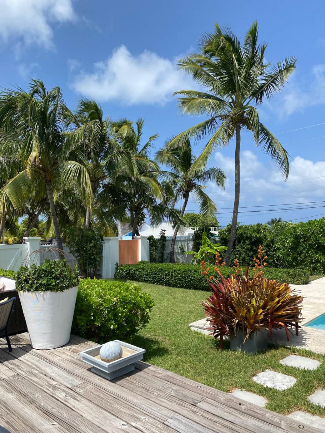 WhatsApp Image 2026-02-19 at 11.05