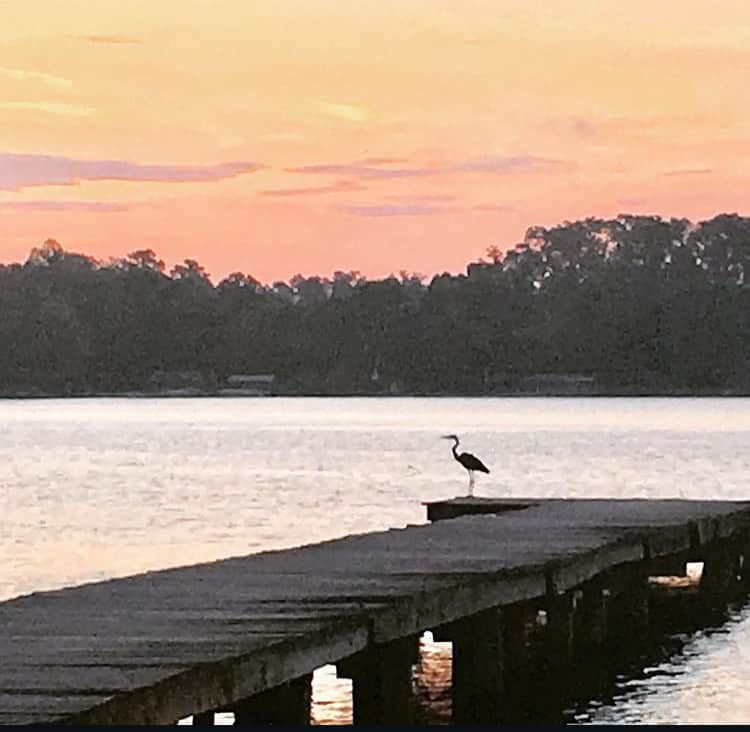 Summer sunrise on the dock