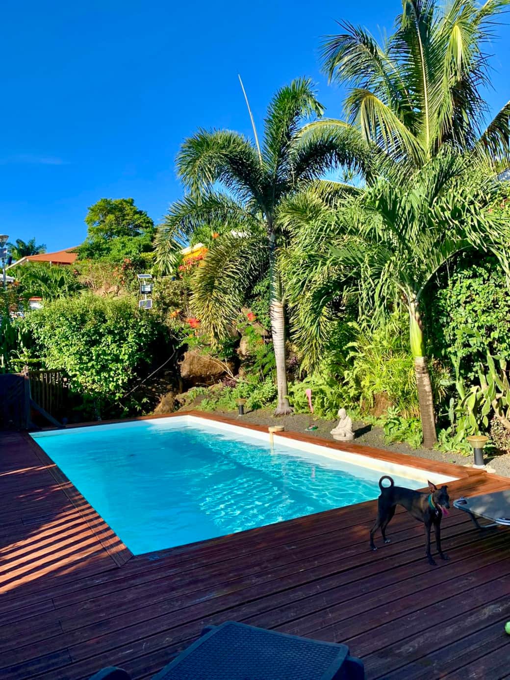 La piscine de la Résidence La piscine de la Résidence