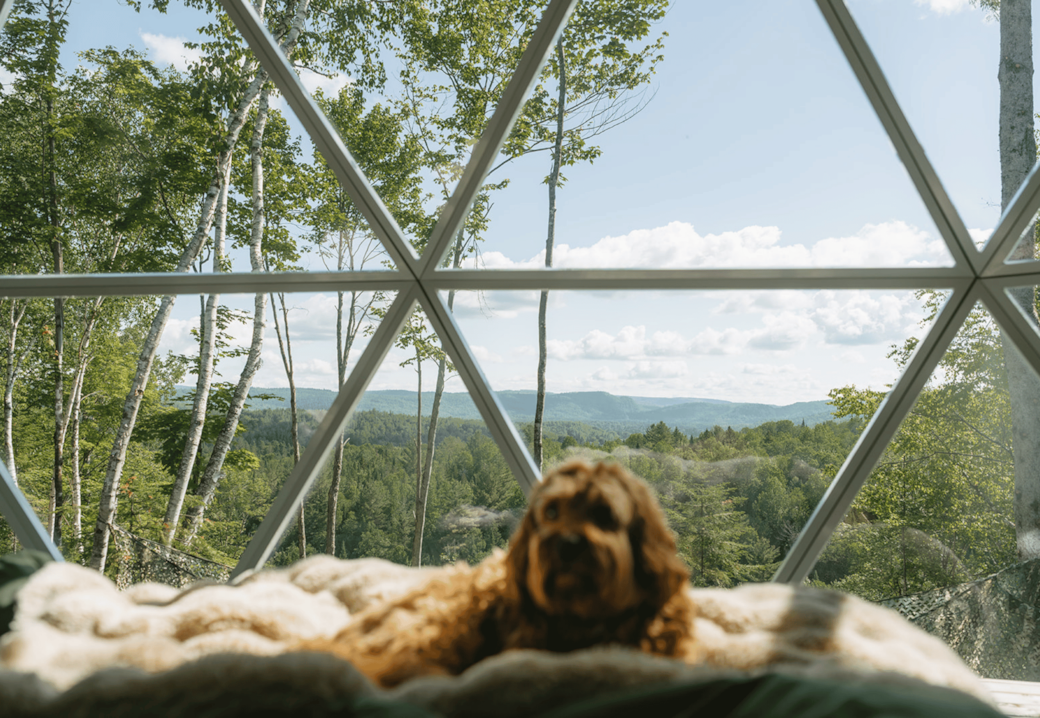 The Spruce - Panoramic view of the valley from the bed The Spruce - Panoramic view of the valley from the bed