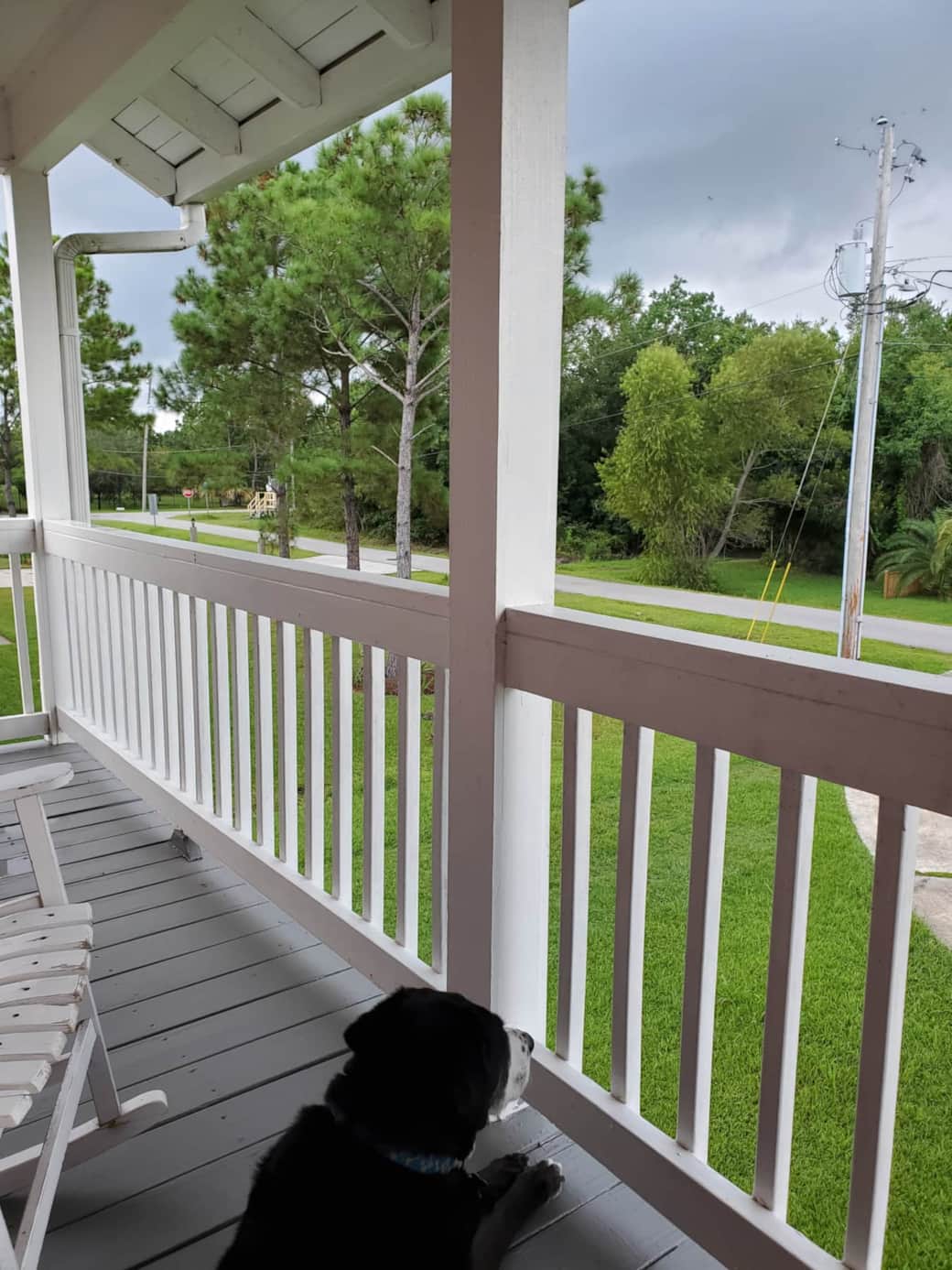 Relaxing views from the front porch rocking chair. Relaxing views from the front porch rocking chair.
