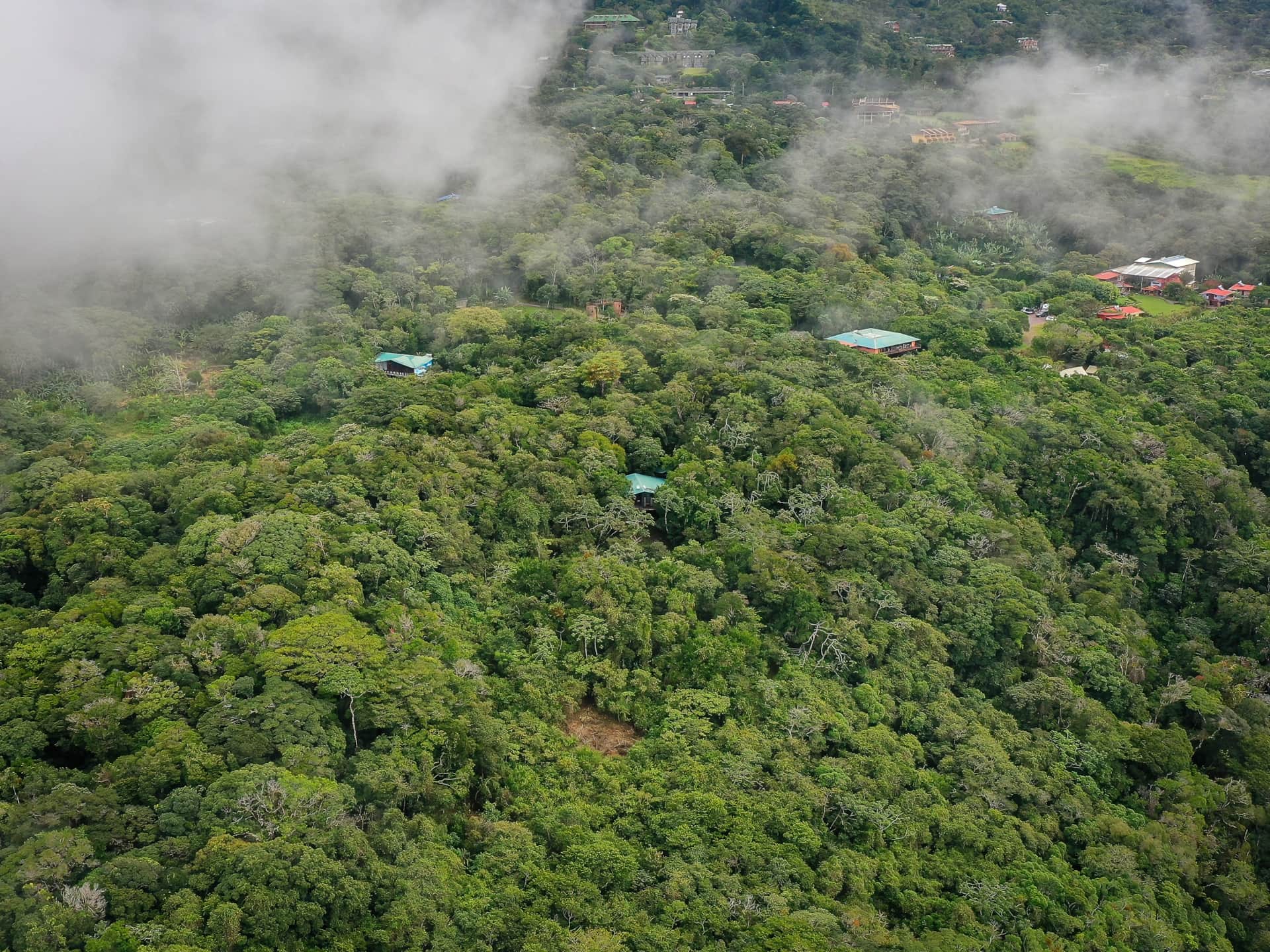 View of Wonders House in the Cloud Forest