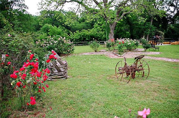 Beautiful garden Beautiful garden