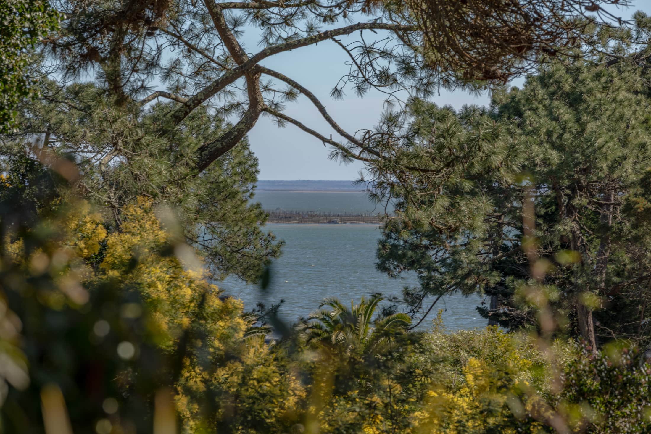 Villa Tournety — photo 5