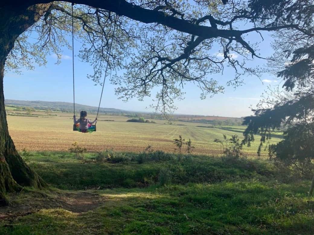 Swing on the edge of Bladon Woods