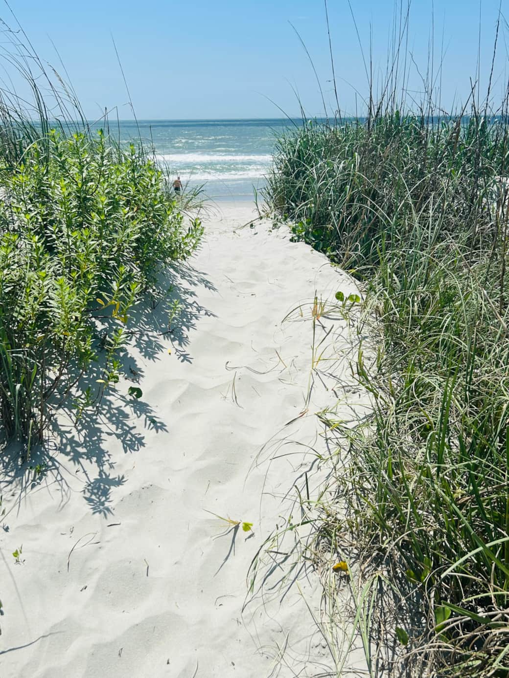 Trail to the beach