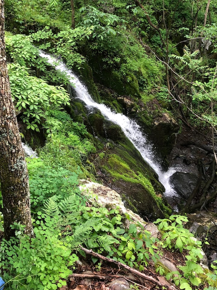 Hiking adventures are just steps away.