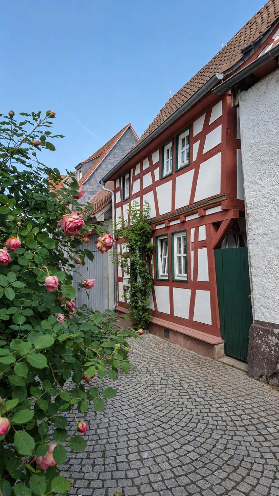 Strassenansicht mit Rosen
