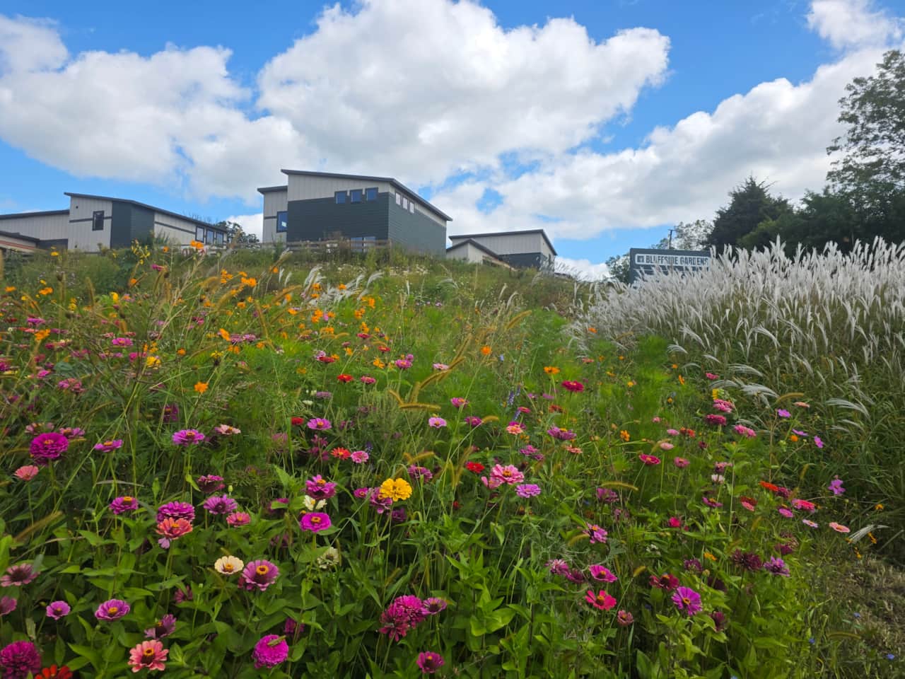 Unit 6 Front Meadow
