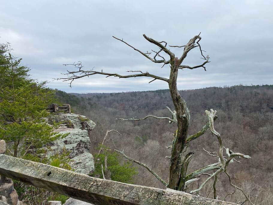 Just a short drive up to the stunning scenic overlook. Jim Lynn Overlook has the best views Just a short drive up to the stunning scenic overlook. Jim Lynn Overlook has the best views