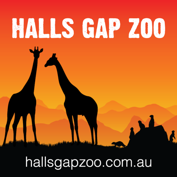 Halls Gap Things to do Our Guide to the top Halls Gap attractions