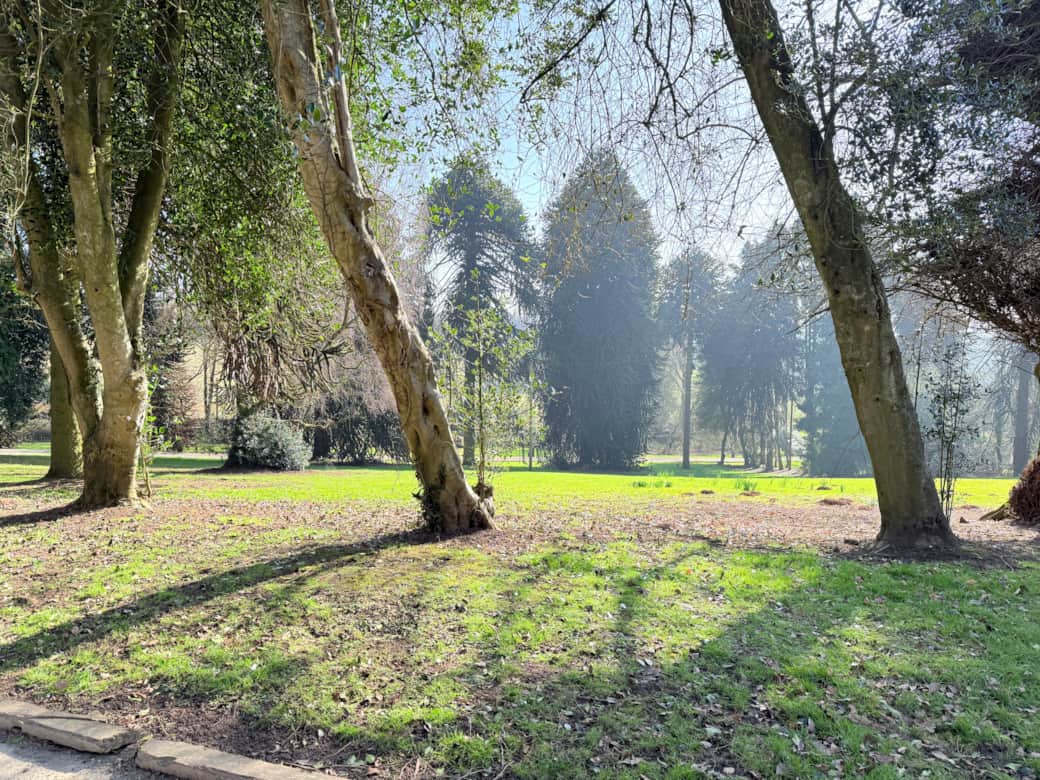 The Gardens - Holly House The Gardens - Holly House