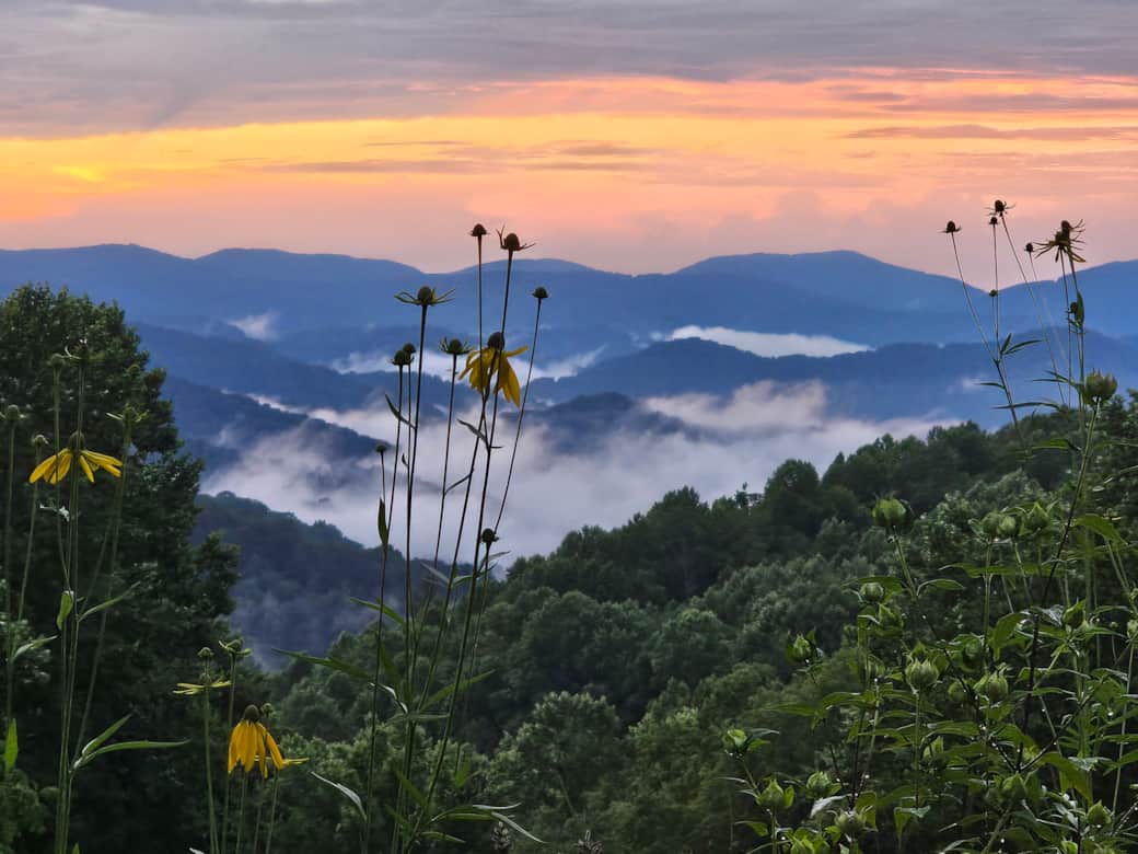 View From Koi Pond and Main House