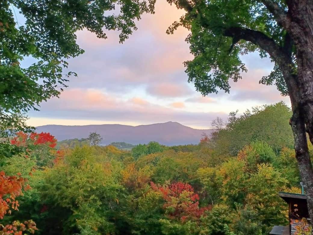 A view of Beech mountain and our 100 year old tree from the deck